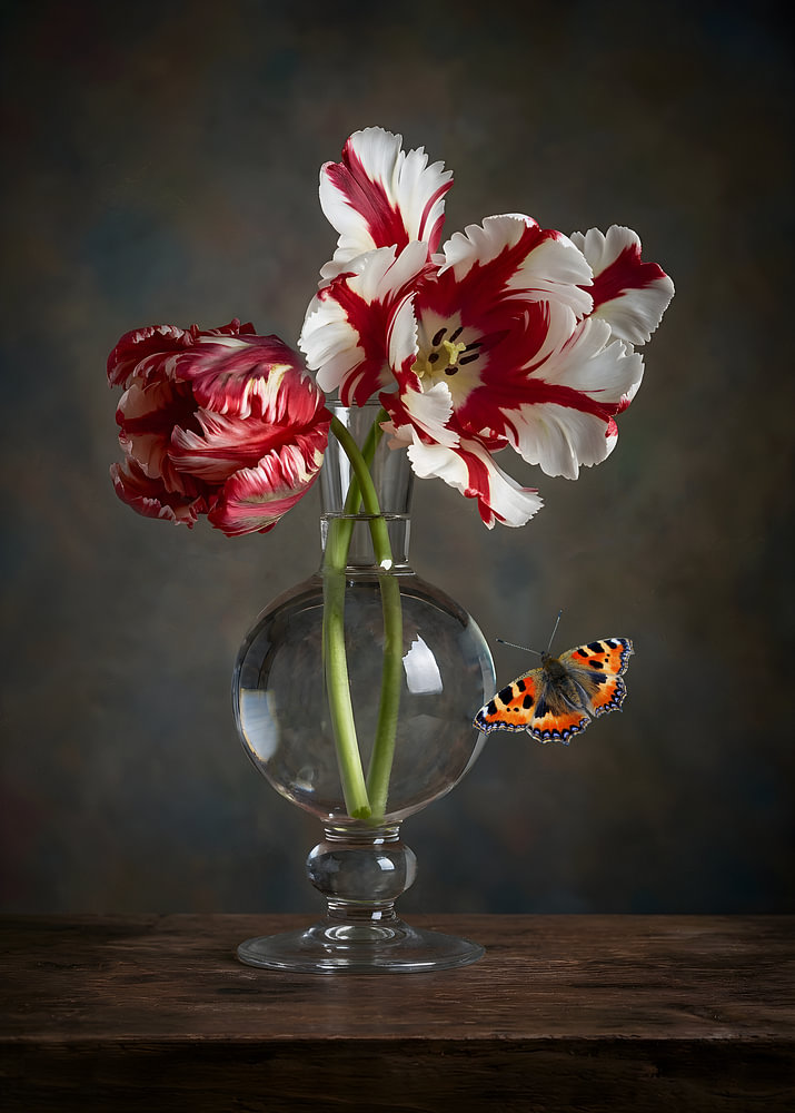 Modern tulpen stilleven - Royal Bloom — bloemstilleven van Sander van Laar