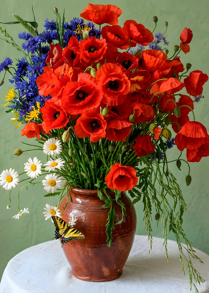 Vaas met madeliefjes en klaprozen - bloemenstilleven — bloemstilleven van Sander van Laar