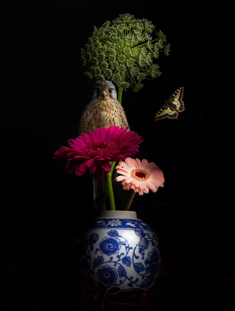 Royal Respect IV - bloemen stilleven — bloemstilleven van Sander van Laar