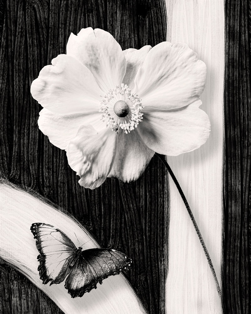 Bloem en Vlinder – Tijdloze Elegantie — bloemstilleven van Sander van Laar