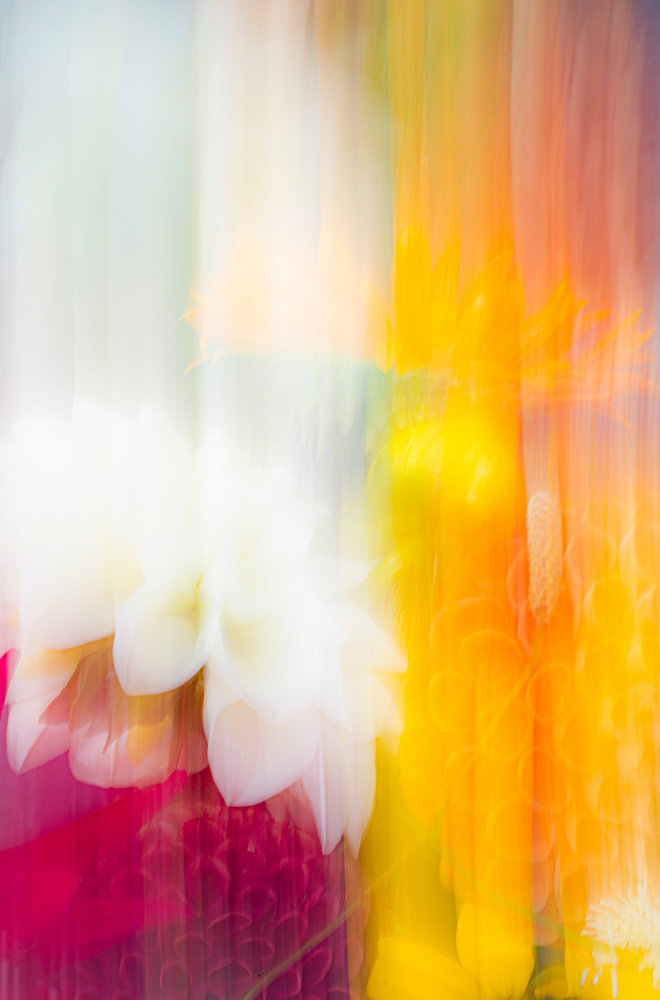 Bloemen in beweging - abstract — bloemstilleven van Sander van Laar