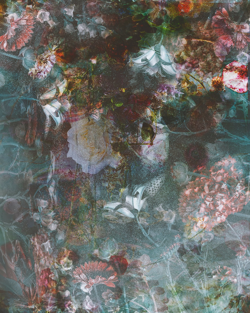 fleurs de mon rêve Nº 1 — bloemstilleven van Sander van Laar