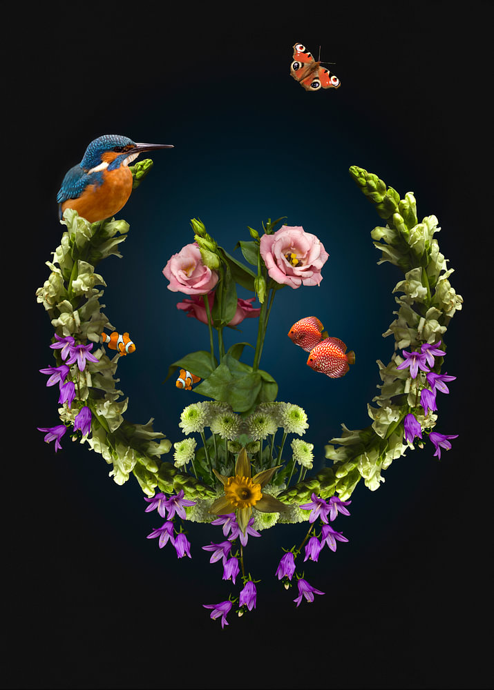 ijsvogel vissen en prachtige bloemenkunst — bloemstilleven van Sander van Laar