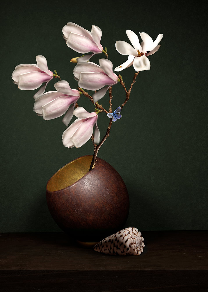 Royal Shinmei bloem stilleven met japanse magnolia — bloemstilleven van Sander van Laar