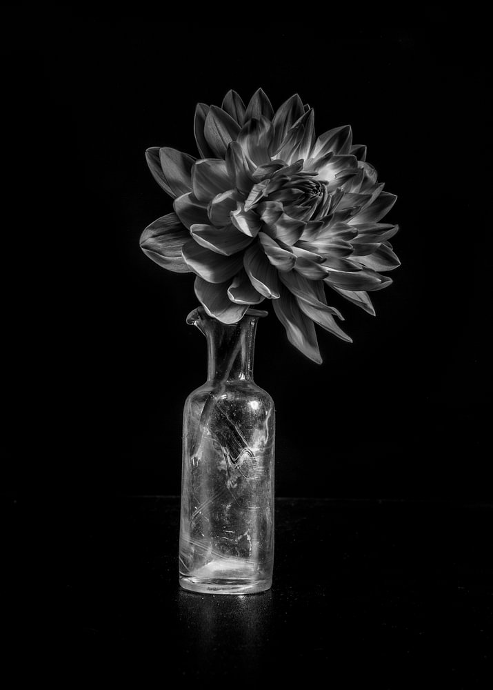 Fine-art fotografie — bloemstilleven van Sander van Laar
