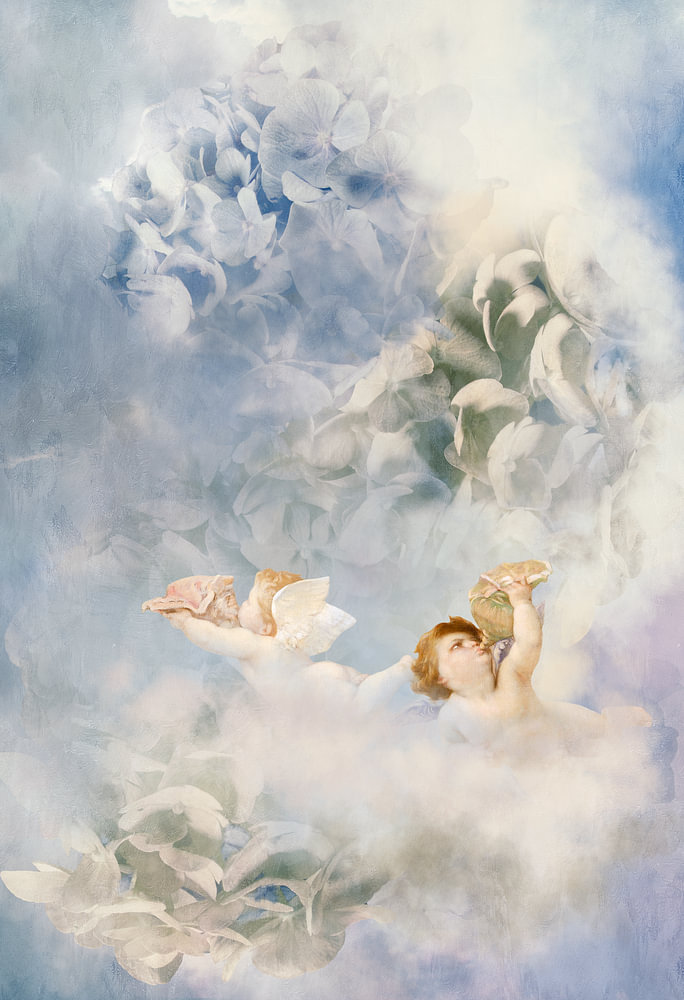 Hortensias Heaven II - abstract — bloemstilleven van Sander van Laar