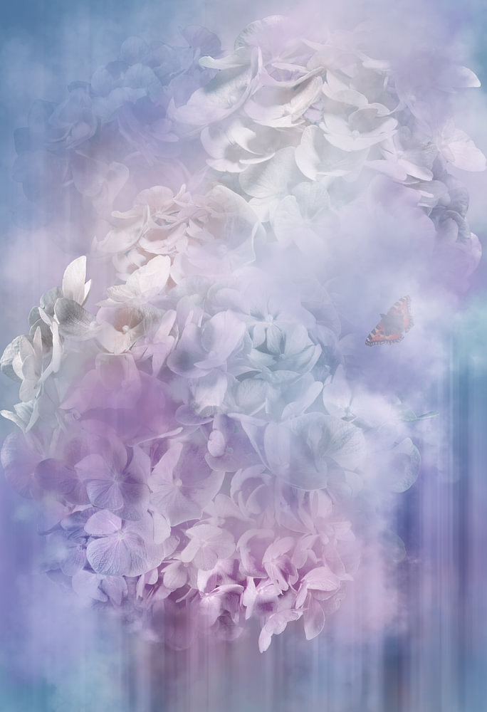 Hortensia hemel - abstract — bloemstilleven van Sander van Laar