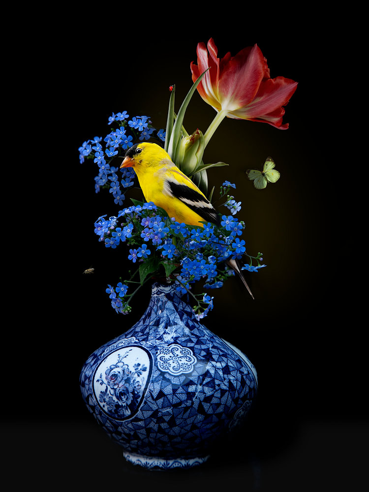 Royal Respect III - bloemenstilleven — bloemstilleven van Sander van Laar