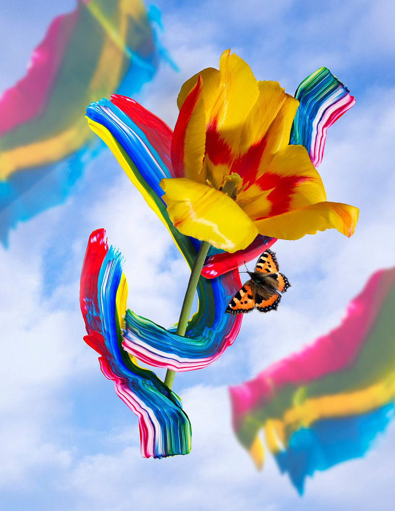 Pride to be Loved - bloemstilleven — bloemstilleven van Sander van Laar