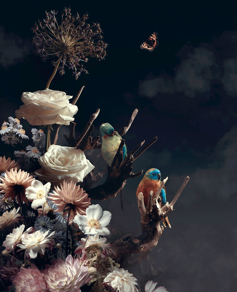 Papegaaien in een bloemen wereld — bloemstilleven van Sander van Laar
