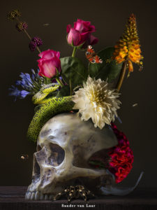 Royal Skull een prachtige bloemstilleven voor in uw huis of kantoor