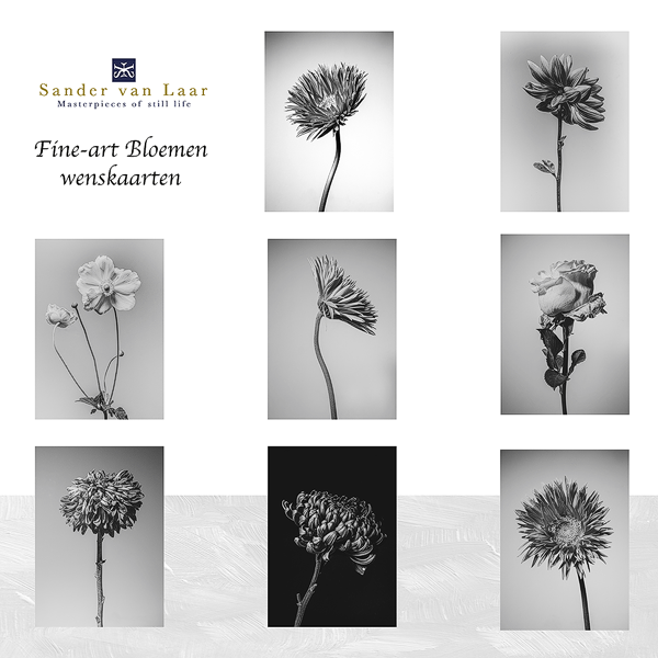 Unieke 8 Fine Art bloemen Wenskaarten