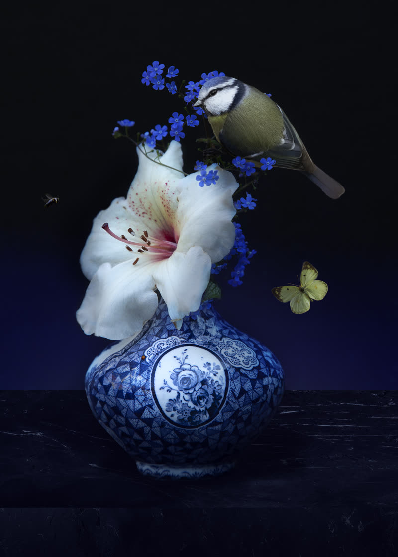 Colourful flower still life by Sander van Laar