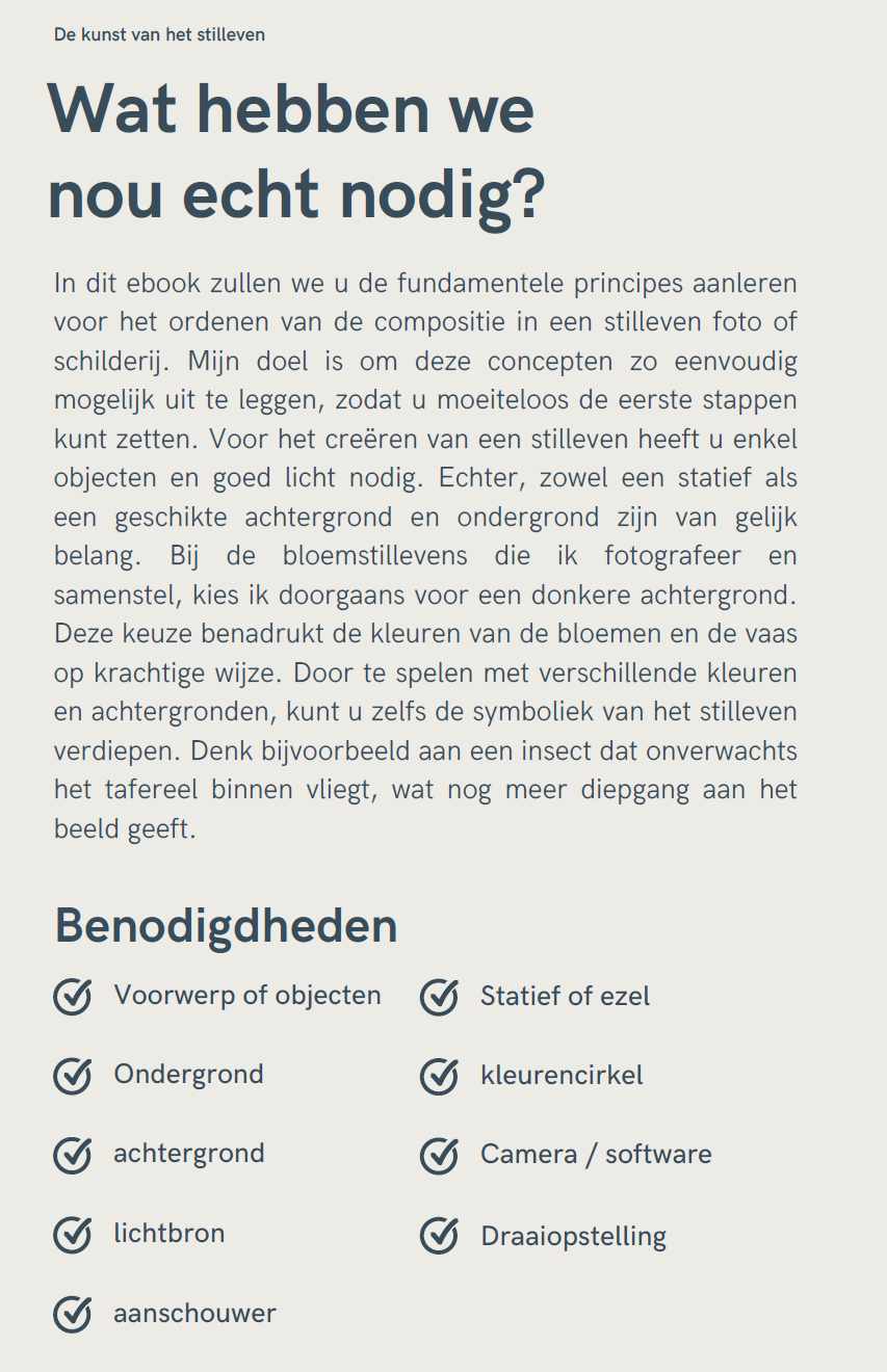 Voorbeeldpagina 1 uit het e-book De Kunst van het Stilleven